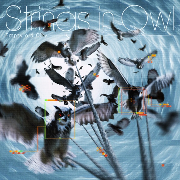 strings in owl.jpg